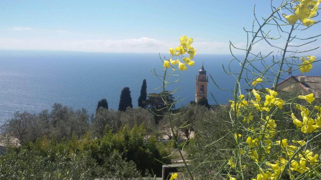 Bed and Breakfast Il Gabbiano Di Pieve Pieve Ligure Exteriér fotografie